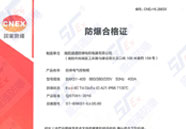 �ӱ�����늚���ƹ�IIC T4 IP66)